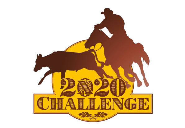2X20 Challenge